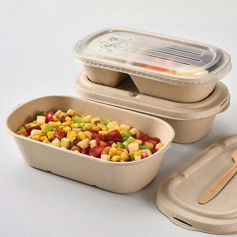 10/50 Stück Einweg-Takeaway-Bo – Meal Prep Bowl Bewertung und Preis